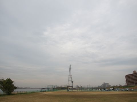 ビションフリーゼトリミング文京区フントヒュッテトリミングサロン東京ビションフリーゼカットスタイルモデル犬ハーブパック効果ペットサロン駒込犬歯磨き166.jpg