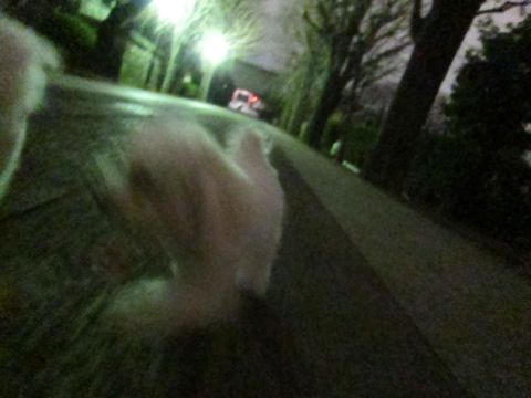 ホテル犬おあずかりペットホテル文京区フントヒュッテビションフリーゼ東京トリミングサロン関東ビションフリーゼ画像ビションフリーゼペットホテル料金表25.jpg