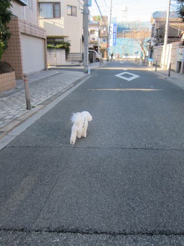 ¥Ó¥·¥ç¥ó¥Õ¥ê¡¼¥¼¥È¥ê¥ß¥ó¥°Ê¸µþ¶è¥Õ¥ó¥È¥Ò¥å¥Ã¥Æ¥È¥ê¥ß¥ó¥°¥µ¥í¥óÅìµþ¥Ó¥·¥ç¥ó¥Õ¥ê¡¼¥¼¥«¥Ã¥È¥¹¥¿¥¤¥ë¥â¥Ç¥ë¸¤¥Ï¡¼¥Ö¥Ñ¥Ã¥¯¸ú²Ì¥Ú¥Ã¥È¥µ¥í¥ó¶ð¹þ¸¤»õËá¤26.jpg