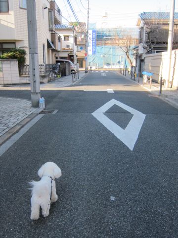 ¥Ó¥·¥ç¥ó¥Õ¥ê¡¼¥¼¥È¥ê¥ß¥ó¥°Ê¸µþ¶è¥Õ¥ó¥È¥Ò¥å¥Ã¥Æ¥È¥ê¥ß¥ó¥°¥µ¥í¥óÅìµþ¥Ó¥·¥ç¥ó¥Õ¥ê¡¼¥¼¥«¥Ã¥È¥¹¥¿¥¤¥ë¥â¥Ç¥ë¸¤¥Ï¡¼¥Ö¥Ñ¥Ã¥¯¸ú²Ì¥Ú¥Ã¥È¥µ¥í¥ó¶ð¹þ¸¤»õËá¤27.jpg