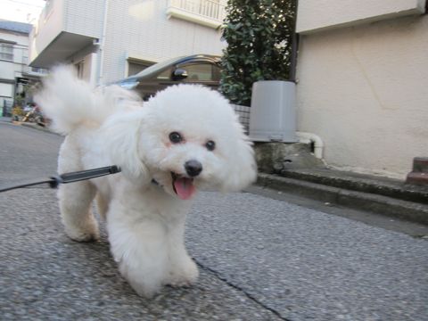 ¥Ó¥·¥ç¥ó¥Õ¥ê¡¼¥¼¥È¥ê¥ß¥ó¥°Ê¸µþ¶è¥Õ¥ó¥È¥Ò¥å¥Ã¥Æ¥È¥ê¥ß¥ó¥°¥µ¥í¥óÅìµþ¥Ó¥·¥ç¥ó¥Õ¥ê¡¼¥¼¥«¥Ã¥È¥¹¥¿¥¤¥ë¥â¥Ç¥ë¸¤¥Ï¡¼¥Ö¥Ñ¥Ã¥¯¸ú²Ì¥Ú¥Ã¥È¥µ¥í¥ó¶ð¹þ¸¤»õËá¤29.jpg
