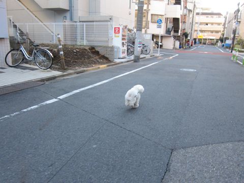 ¥Ó¥·¥ç¥ó¥Õ¥ê¡¼¥¼¥È¥ê¥ß¥ó¥°Ê¸µþ¶è¥Õ¥ó¥È¥Ò¥å¥Ã¥Æ¥È¥ê¥ß¥ó¥°¥µ¥í¥óÅìµþ¥Ó¥·¥ç¥ó¥Õ¥ê¡¼¥¼¥«¥Ã¥È¥¹¥¿¥¤¥ë¥â¥Ç¥ë¸¤¥Ï¡¼¥Ö¥Ñ¥Ã¥¯¸ú²Ì¥Ú¥Ã¥È¥µ¥í¥ó¶ð¹þ¸¤»õËá¤35.jpg