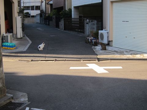 ¥Ó¥·¥ç¥ó¥Õ¥ê¡¼¥¼¥È¥ê¥ß¥ó¥°Ê¸µþ¶è¥Õ¥ó¥È¥Ò¥å¥Ã¥Æ¥È¥ê¥ß¥ó¥°¥µ¥í¥óÅìµþ¥Ó¥·¥ç¥ó¥Õ¥ê¡¼¥¼¥«¥Ã¥È¥¹¥¿¥¤¥ë¥â¥Ç¥ë¸¤¥Ï¡¼¥Ö¥Ñ¥Ã¥¯¸ú²Ì¥Ú¥Ã¥È¥µ¥í¥ó¶ð¹þ¸¤»õËá¤40.jpg
