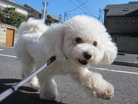 ¥Ó¥·¥ç¥ó¥Õ¥ê¡¼¥¼¥È¥ê¥ß¥ó¥°Ê¸µþ¶è¥Õ¥ó¥È¥Ò¥å¥Ã¥Æ¥È¥ê¥ß¥ó¥°¥µ¥í¥óÅìµþ¥Ó¥·¥ç¥ó¥Õ¥ê¡¼¥¼¥«¥Ã¥È¥¹¥¿¥¤¥ë¥â¥Ç¥ë¸¤¥Ï¡¼¥Ö¥Ñ¥Ã¥¯¸ú²Ì¥Ú¥Ã¥È¥µ¥í¥ó¶ð¹þ¸¤»õËá¤61.jpg