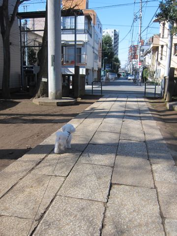 ¥Ó¥·¥ç¥ó¥Õ¥ê¡¼¥¼¥È¥ê¥ß¥ó¥°Ê¸µþ¶è¥Õ¥ó¥È¥Ò¥å¥Ã¥Æ¥È¥ê¥ß¥ó¥°¥µ¥í¥óÅìµþ¥Ó¥·¥ç¥ó¥Õ¥ê¡¼¥¼¥«¥Ã¥È¥¹¥¿¥¤¥ë¥â¥Ç¥ë¸¤¥Ï¡¼¥Ö¥Ñ¥Ã¥¯¸ú²Ì¥Ú¥Ã¥È¥µ¥í¥ó¶ð¹þ¸¤»õËá¤67.jpg