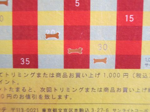 ペーパークラフト クラフトパンチ Fiskars/フィスカース ハンドパンチ 1:4Bone(ボーン) 骨型 カーラクラフト メガパンチ メガジャンボ Carla Craft 3.jpg
