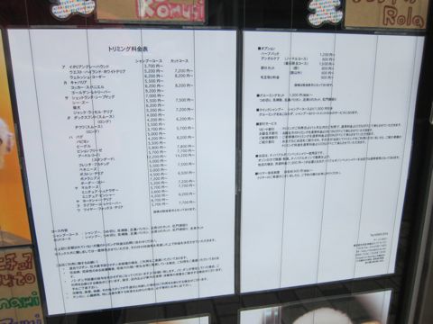 トリミング文京区フントヒュッテ東京ビションフリーゼカットスタイル画像トイプードルカットモデル関東レークランドテリアトリミングシーズービションアフロ13.jpg