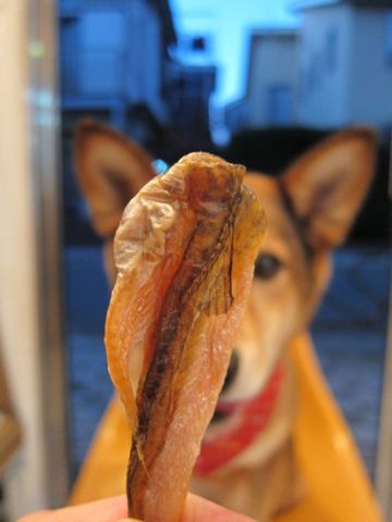 オーシーファーム愛犬愛猫用スナック北海道100%北海道素材のみ無添加手作り犬おやつあらびきビーフ国内漁港水揚げの原料使用とびうおハタハタフントヒュッテ愛犬のガム25.jpg