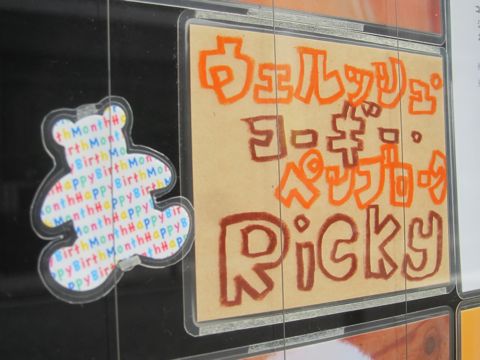 トリミング文京区フントヒュッテ東京ビションフリーゼカットスタイル画像トイプードルカットモデル関東コーギートリミング画像トイプードルカットスタイル20.jpg