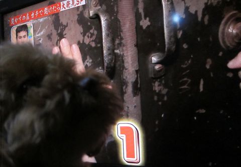 トイプードルペットホテル様子おさんぽ犬おあずかり文京区フントヒュッテ東京トイプードルトリミング画像トイプーモヒカンカット都内ペットホテル駒込31.jpg