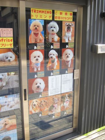 トリミング文京区フントヒュッテ東京ビションフリーゼカット画像ミニチュアシュナウザートリミング画像都内ダックスサマーカット関東ヨーキーカットhundehutte3.jpg