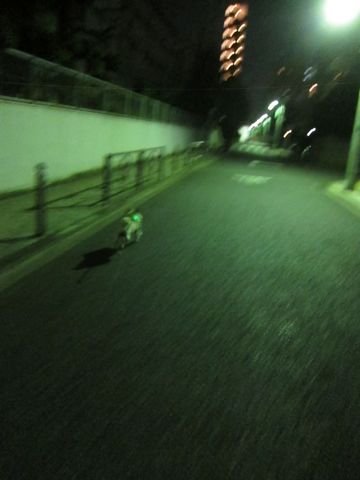パグ画像かわいいパグ画像ペットホテル様子おさんぽ犬おあずかり文京区フントヒュッテ東京パグ駒込パグ夏弱い夏対策パグ飛行機パグ呼吸器官13.jpg
