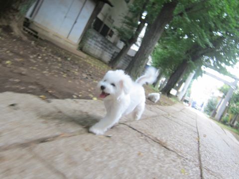 ¥Ó¥·¥ç¥ó¥Õ¥ê¡¼¥¼¤³¤¤¤Ì»Ò¸¤¥Õ¥ó¥È¥Ò¥å¥Ã¥ÆÅìµþ¤«¤ï¤¤¤¤¥Ó¥·¥ç¥ó¥Õ¥ê¡¼¥¼´ØÅì¥Ó¥·¥ç¥óʸµþ¶è¥Ó¥·¥ç¥ó¥Õ¥ê¡¼¥¼²èÁü¥Ó¥·¥ç¥ó¥Õ¥ê¡¼¥¼¤ª¤ó¤Ê¤Î¤³»ÐËå¥á¥¹»Ò¸¤_512.jpg