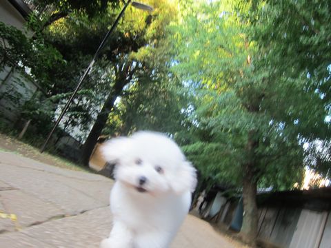 ¥Ó¥·¥ç¥ó¥Õ¥ê¡¼¥¼¤³¤¤¤Ì»Ò¸¤¥Õ¥ó¥È¥Ò¥å¥Ã¥ÆÅìµþ¤«¤ï¤¤¤¤¥Ó¥·¥ç¥ó¥Õ¥ê¡¼¥¼´ØÅì¥Ó¥·¥ç¥óʸµþ¶è¥Ó¥·¥ç¥ó¥Õ¥ê¡¼¥¼²èÁü¥Ó¥·¥ç¥ó¥Õ¥ê¡¼¥¼»Ò¸¤Åìµþ¥Ó¥·¥ç¥óÌÓÎÌ¡¡198.jpg