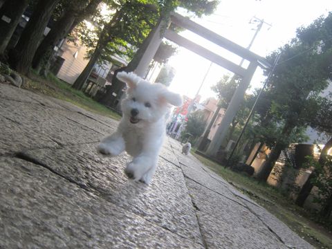 ¥Ó¥·¥ç¥ó¥Õ¥ê¡¼¥¼¤³¤¤¤Ì»Ò¸¤¥Õ¥ó¥È¥Ò¥å¥Ã¥ÆÅìµþ¤«¤ï¤¤¤¤¥Ó¥·¥ç¥ó¥Õ¥ê¡¼¥¼´ØÅì¥Ó¥·¥ç¥óʸµþ¶è¥Ó¥·¥ç¥ó¥Õ¥ê¡¼¥¼²èÁü¥Ó¥·¥ç¥ó¥Õ¥ê¡¼¥¼¤ª¤ó¤Ê¤Î¤³»ÐËå¥á¥¹»Ò¸¤_531.jpg