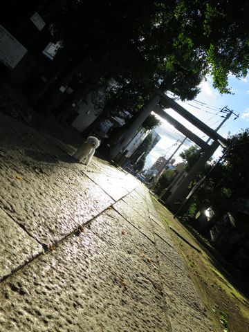 ¥Ó¥·¥ç¥ó¥Õ¥ê¡¼¥¼¤³¤¤¤Ì»Ò¸¤¥Õ¥ó¥È¥Ò¥å¥Ã¥ÆÅìµþ¤«¤ï¤¤¤¤¥Ó¥·¥ç¥ó¥Õ¥ê¡¼¥¼´ØÅì¥Ó¥·¥ç¥óʸµþ¶è¥Ó¥·¥ç¥ó¥Õ¥ê¡¼¥¼²èÁü¥Ó¥·¥ç¥ó¥Õ¥ê¡¼¥¼¤ª¤ó¤Ê¤Î¤³»ÐËå¥á¥¹»Ò¸¤_744.jpg