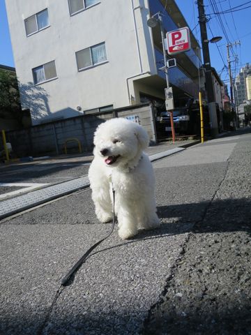 ¥Û¥Æ¥ë¸¤¶ð¹þ¥Õ¥ó¥È¥Ò¥å¥Ã¥ÆÅìµþ¥Ú¥Ã¥È¥Û¥Æ¥ëʸµþ¶è¸¤¤ª¤¢¤º¤«¤êÍͻҤª¤µ¤ó¤Ý¥Ú¥Ã¥È¥Û¥Æ¥ëÎÁ¶â¥Ó¥·¥ç¥ó¥Õ¥ê¡¼¥¼¥È¥ê¥ß¥ó¥°²èÁü¸¤»õ¤ß¤¬¤¥Ç¥ó¥¿¥ë¥±¥¢ÅÔÆâ23.jpg