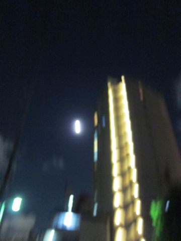 ダックストリミング東京ダックスフントカニヘン都内ペットホテル様子おさんぽ犬おあずかり料金文京区フントヒュッテ駒込かわいいカニヘンダックス画像hundehutte16.jpg
