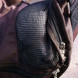 ホテル犬駒込フントヒュッテ東京ペットホテル文京区犬おあずかり様子おさんぽペットホテル料金ビションフリーゼトリミング画像ビションフリーゼカット都内6.jpg