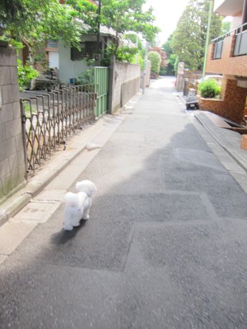 ¥Ó¥·¥ç¥ó¥Õ¥ê¡¼¥¼¥È¥ê¥ß¥ó¥°Ê¸µþ¶è¥Õ¥ó¥È¥Ò¥å¥Ã¥Æ¥È¥ê¥ß¥ó¥°¥µ¥í¥óÅìµþ¥Ó¥·¥ç¥ó¥Õ¥ê¡¼¥¼¥«¥Ã¥È¥¹¥¿¥¤¥ë¥â¥Ç¥ë¸¤¥Ï¡¼¥Ö¥Ñ¥Ã¥¯¸ú²Ì¥Ú¥Ã¥È¥µ¥í¥ó¶ð¹þ¸¤»õËá¤101.jpg