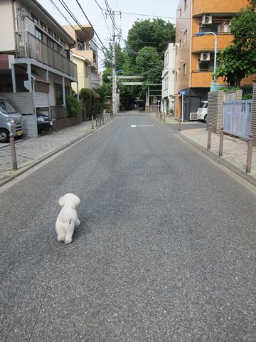 ¥Ó¥·¥ç¥ó¥Õ¥ê¡¼¥¼¥È¥ê¥ß¥ó¥°Ê¸µþ¶è¥Õ¥ó¥È¥Ò¥å¥Ã¥Æ¥È¥ê¥ß¥ó¥°¥µ¥í¥óÅìµþ¥Ó¥·¥ç¥ó¥Õ¥ê¡¼¥¼¥«¥Ã¥È¥¹¥¿¥¤¥ë¥â¥Ç¥ë¸¤¥Ï¡¼¥Ö¥Ñ¥Ã¥¯¸ú²Ì¥Ú¥Ã¥È¥µ¥í¥ó¶ð¹þ¸¤»õËá¤121.jpg