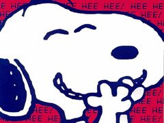 ビションフリーゼトリミング東京フントヒュッテビションフリーゼカット画像ビションフリーゼデザインカット文京区ハーブパック犬効果皮膚被毛駒込都内60.jpg