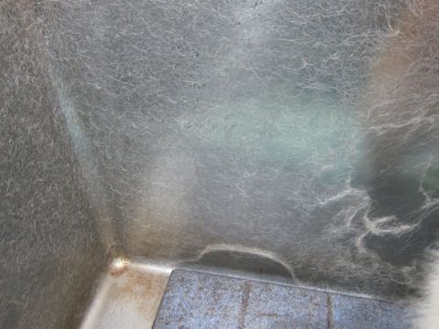 ウェルッシュ・コーギー・ペンブロークトリミング文京区フントヒュッテ駒込コーギー画像都内コーギー種類しっぽ色性格かわいい画像コーギーお尻のカット東京4.jpg