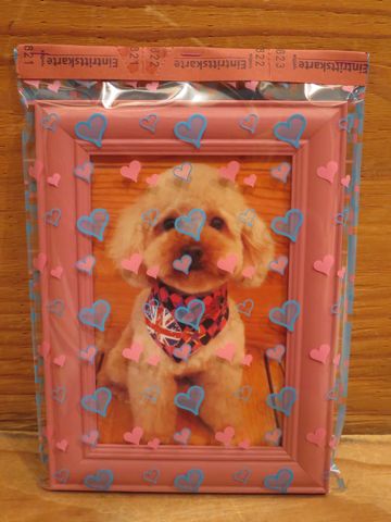 トイ・プードルトリミング文京区カットモデル犬関東トリミングサロン駒込フントヒュッテトイプードル画像トイプードルカットスタイルベアカットモデル8.jpg