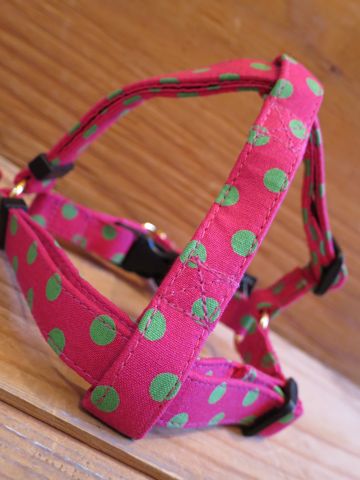 եȥҥåƥꥸʥإ顼꡼ɥ꡼ϡͥʸ褫襤μơϥե֥åͥݥ륫ɥå Polka Dot Collar Leash Harness_13.jpg