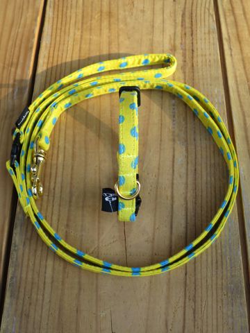 եȥҥåƥꥸʥإ顼꡼ɥ꡼ϡͥʸ褫襤μơϥե֥åͥݥ륫ɥå Polka Dot Collar Leash Harness_18.jpg