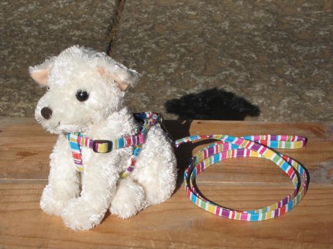 フントヒュッテオリジナル首輪カラーリードリーシュハーネス文京区hundehutte東京かわいい犬の首輪ヴィンテージ生地柄カラフルボーダー Colorful Border Collar Leash Harness_4.jpg