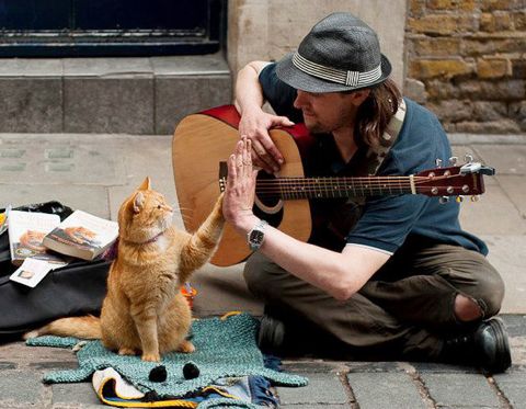 ܥ֡A Street Cat Named Bobܥ֤Ȥ̾Υȥ꡼ȡåȡॺܡ󡡥ܥ֤줿 ܤξӥ꡼Хܡ5.jpg