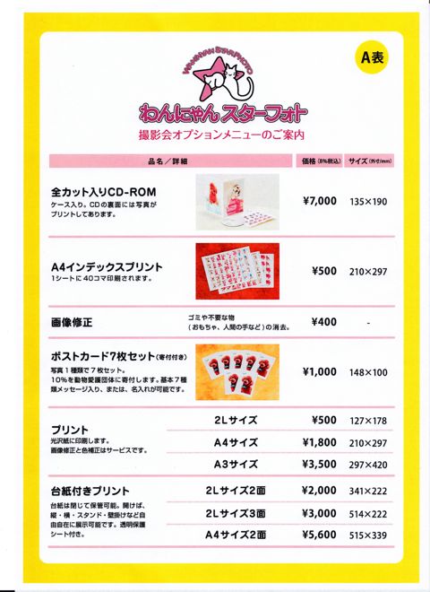 2015年6月21日(日) フントヒュッテ 写真撮影会 プロカメラマンによる写真撮影会 犬イベント 文京区 東京 本駒込 わんちゃん撮影会 予約 費用 料金 画像 地図 j.jpg