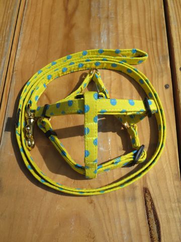 フントヒュッテオリジナル首輪カラーリードリーシュハーネス文京区かわいい首輪東京ヴィンテージ生地ファブリック水玉模様ポルカドット Polka Dot Collar Leash Harness_20.jpg