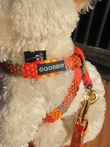 フントヒュッテオリジナル首輪カラーリードリーシュハーネス文京区かわいい首輪東京フントヒュッテGOODBOYコラボ商品手編みハンドメイドウーブンWoven Collar Leash Harness27.jpg