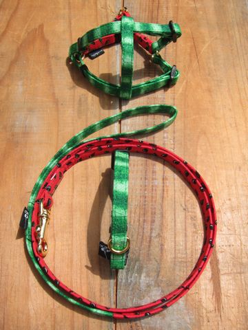 եȥҥåƥꥸʥإ顼꡼ɥ꡼ϡͥʸ褫襤ơϥץȥե֥å Suica Collar Leash Harness_6.jpg