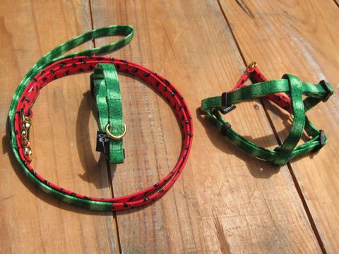 եȥҥåƥꥸʥإ顼꡼ɥ꡼ϡͥʸ褫襤ơϥץȥե֥å Suica Collar Leash Harness_9.jpg