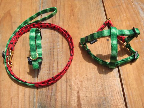 եȥҥåƥꥸʥإ顼꡼ɥ꡼ϡͥʸ褫襤ơϥץȥե֥å Suica Collar Leash Harness_10.jpg