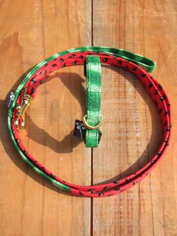 եȥҥåƥꥸʥإ顼꡼ɥ꡼ϡͥʸ褫襤ơϥץȥե֥å Suica Collar Leash Harness_11.jpg