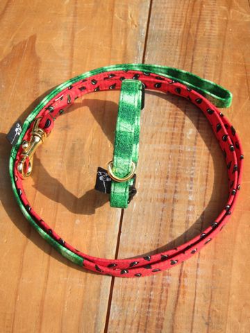 եȥҥåƥꥸʥإ顼꡼ɥ꡼ϡͥʸ褫襤ơϥץȥե֥å Suica Collar Leash Harness_12.jpg