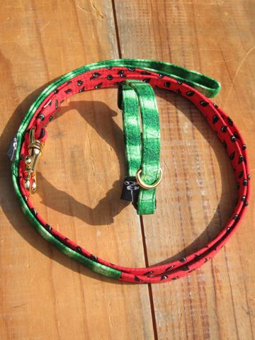 եȥҥåƥꥸʥإ顼꡼ɥ꡼ϡͥʸ褫襤ơϥץȥե֥å Suica Collar Leash Harness_13.jpg