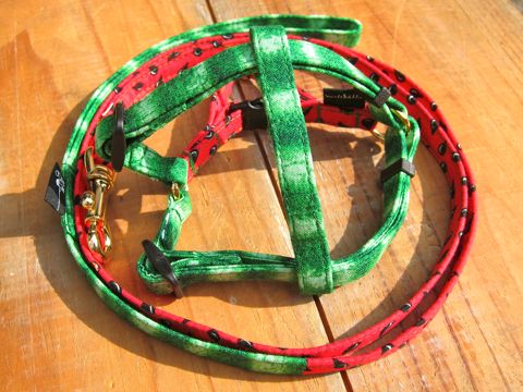 եȥҥåƥꥸʥإ顼꡼ɥ꡼ϡͥʸ褫襤ơϥץȥե֥å Suica Collar Leash Harness_16.jpg