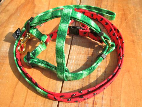 եȥҥåƥꥸʥإ顼꡼ɥ꡼ϡͥʸ褫襤ơϥץȥե֥å Suica Collar Leash Harness_17.jpg