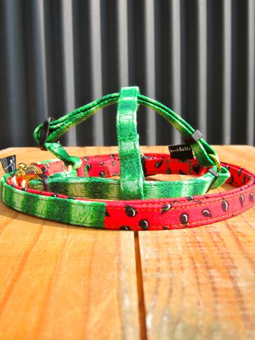 եȥҥåƥꥸʥإ顼꡼ɥ꡼ϡͥʸ褫襤ơϥץȥե֥å Suica Collar Leash Harness_18.jpg