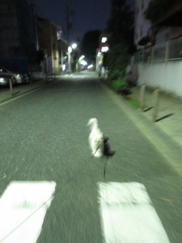 ¥Û¥Æ¥ë¸¤¥Ú¥Ã¥È¥Û¥Æ¥ë¶ð¹þ¥Õ¥ó¥È¥Ò¥å¥Ã¥ÆÊ¸µþ¶è¸¤¤ª¤¢¤º¤«¤ê¥·¡¼¥º¡¼¥À¥Ã¥¯¥¹¥Á¥ï¥ï¿Ƭ»ô¤¤Åìµþ¥Ú¥Ã¥È¥Û¥Æ¥ëÍͻҸ¤¥ª¥¹¥Þ¥Ê¡¼¥Ù¥ë¥È¤ª¤¹¤¹¤á²èÁüÅÔÆâ¤ª¤µ¤ó¤Ý_171.jpg
