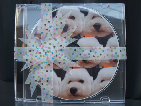 トイプードルトリミング文京区トイプードル丸くカット画像フントヒュッテ東京トイ・プードルホワイト駒込hundehutte関東ゼオライトデンタルケア歯垢歯石除去画像_1.jpg
