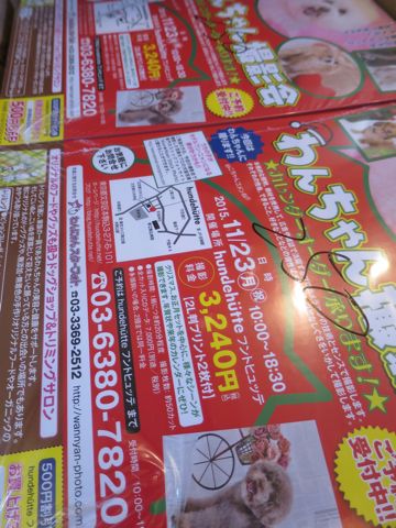 2015年11月23日(祝・月) フントヒュッテ 写真撮影会 プロカメラマンによる写真撮影会 犬イベント 文京区 東京 駒込 愛犬カレンダーオーダー クリスマス 正月 2.jpg