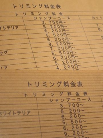 トリミング料金表フントヒュッテトリミング料金オプション温泉ハーブパックデンタルケアゼオライトデンタルケア東京都文京区本駒込3-27-6-101犬カットモデル画像_1.jpg