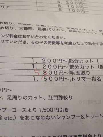 トリミング料金表フントヒュッテトリミング料金オプション温泉ハーブパックデンタルケアゼオライトデンタルケア東京都文京区本駒込3-27-6-101犬カットモデル画像_3.jpg