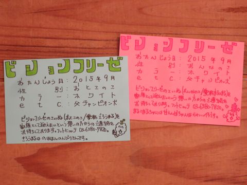 ¥Ó¥·¥ç¥ó¥Õ¥ê¡¼¥¼¥Õ¥ó¥È¥Ò¥å¥Ã¥ÆÊ¸µþ¶è¶ð¹þ¥Ó¥·¥ç¥ó»Ò¸¤¤³¤¤¤ÌÀÖ¤Á¤ã¤ó½Ð»º¾ðÊó¥Ó¥·¥ç¥óÉã¥Á¥ã¥ó¥Ô¥ª¥ó·ìÅýÌÓÎÌ¥ª¥¹»Ò¸¤¤ª¤ó¤Ê¤Î¤³Åìµþ¥Ó¥·¥ç¥ó²èÁüÀ³Ê¤«¤ï¤¤¤¤_221.jpg